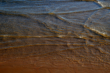 Beach during the low tide