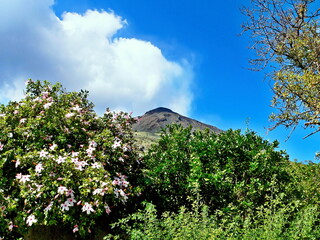 Italy,Calabria-view of the volcano Stromboli
