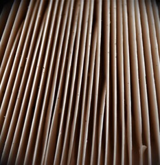 Grzyb sowa, kania   © merko