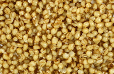 Cooked bulgur wheat isolated on white.