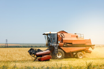 Obraz premium Red combine harvester in barley field. Agriculture and farming