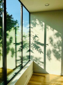 Reflection Of Trees On Glass Window At Home