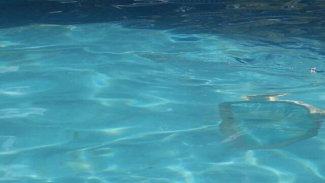 racket cleaning the pool water
