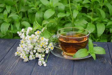Herbal green hot tea with camomile on a dark background