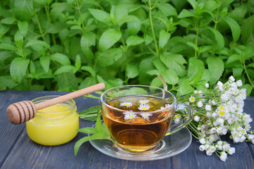 Herbal green hot tea with camomile on a dark background