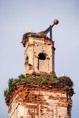 Church of St. Onufry 1825, Selets, Mstsislaw District and Storks in Nests