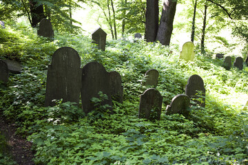 old graveyard with cemetery