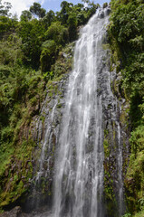 Fototapeta na wymiar waterfall in the middle of the jungle