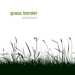 Seamless field grass border. Green herbs silhouette.
