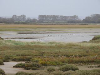 View of the lagoon