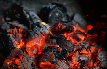 Close up shot of burning firewood in the fireplace.