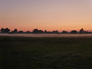 Fototapeta premium fog in the field in the evening in the village