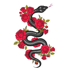Snake and roses illustration. Vector illustration. Hand drawn illustration for t-shirt print, fabric and other uses