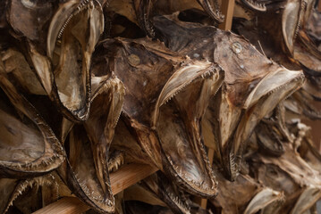 Dried cod heads piled in bale
