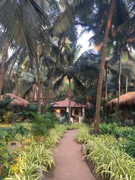 Tropical Resort 
