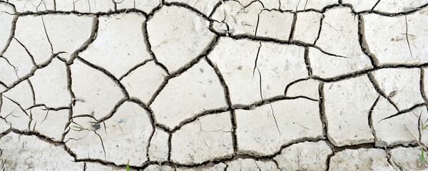 cracked clay ground into the dry season
