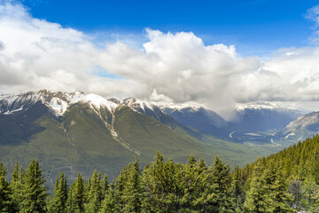 Landscape view over trees of snow capped mountains in Banff