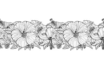 Hand drawn monochrome hibiscus flowers seamless brushe. Floral endless border. Isolated on white background. Vector illustration.