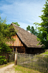 Fototapeta na wymiar wooden house in the forest