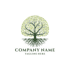 Root Of The Tree logo illustration. Vector silhouette of a tree.