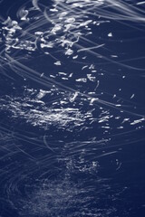 波上の月光
月光の軌跡
満月