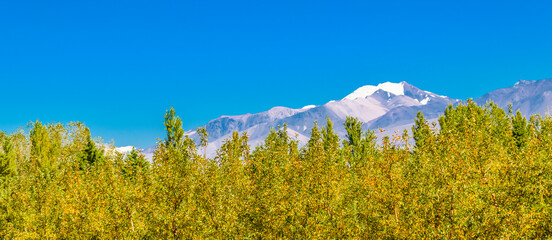 Countryside Landscape Scene, San Juan Province, Argentina