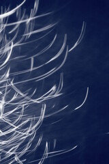 波上の月光
月光の軌跡
満月