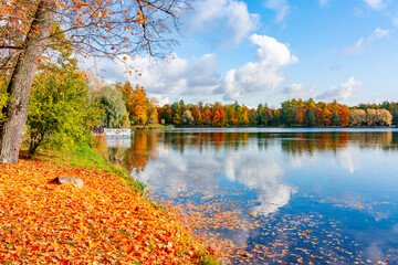 AUtumn foliage and Grand pond in Catherine park, Pushkin (Tsarskoe Selo), Saint Petersburg, Russia