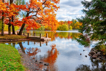 AUtumn foliage in Catherine park, Pushkin, Saint Petersburg, Russia