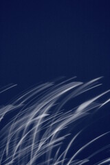 波上の月光
月光の軌跡
満月