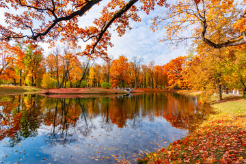 Autumn foliage in Alexander park, Pushkin (Tsarskoe Selo), Saint Petersburg, Russia