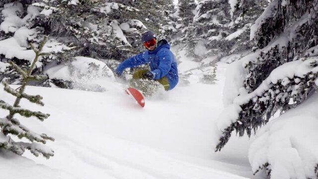 Snowboarding Powder Slash Tight Trees Slow Mo 240FPS Whistler BC CANADA