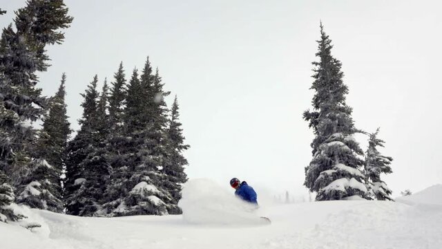 Snowboarding Wide Fresh  Powder Slash 120FPS Whistler BC 