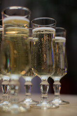 Glasses of champagne with carbonated alcohol. Festive birthday, wedding or Christmas party.