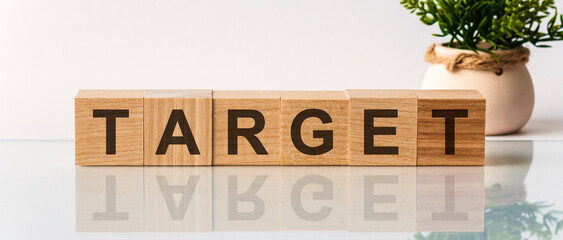 TARGET is a word written in black letters on wooden cubes located on a white mirror surface. The inscription is reflected, in the background there is a flower in a pot of light brown color.