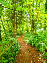 Views of forestry in England