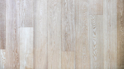 Fototapeta premium Blank wood texture; copy space photo, for architecture and interior design projects