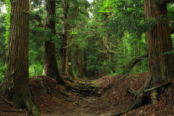 岩手県遠野市　愛宕神社