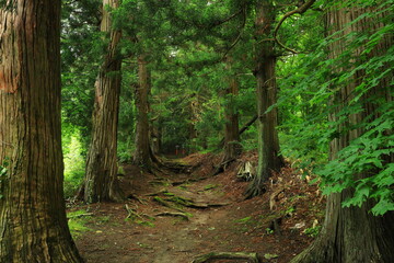 Obraz premium 岩手県遠野市 愛宕神社