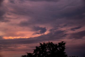 Fototapeta premium Beautiful color clouds in the sky. Pattern from clouds in the sky.