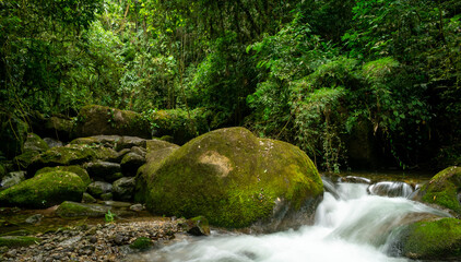 small waterfall in the brazilian rainforest
