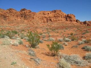 Fototapeta premium Landscape with red sandstone formations, Valley of Fire State Park, Nevada, USA