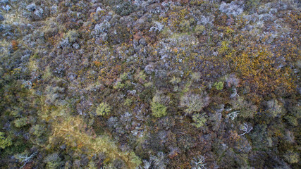Natural texture. Overhead aerial view of the meadow and grassland foliage in autumn. 