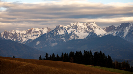 Obraz premium sunrise in the austrian alps in late spring with snow and dew on the field