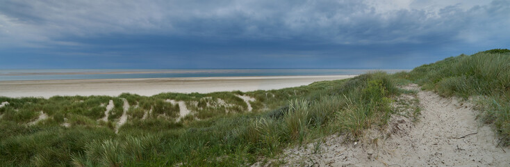 sandy way in the dunes at the beach of Blåvand (Denmark) surrounded by green beach grass against a dramatic grey sky caused by a catching up thunderstorm