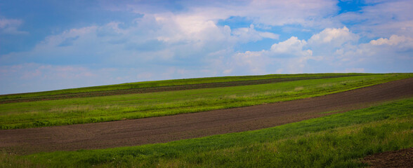 Fototapeta premium Wonderful View Of The Field On Which Alternately Seeded And Plowed Stripes Of Land