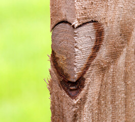 Heart shaped knot in the edge of a wooden fence is a natural heart in nature against a blurred bright green grass background.