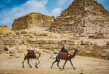 Camel shepard heads for home at the end of the day in Giza, Cairo