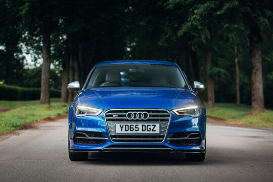 Audi S3 at the trees alley