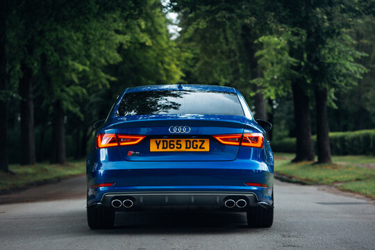 Audi S3 at the trees alley